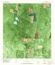 Vidaurri Texas Historical topographic map, 1:24000 scale, 7.5 X 7.5 Minute, Year 1978