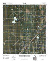 Vidaurri Texas Historical topographic map, 1:24000 scale, 7.5 X 7.5 Minute, Year 2010