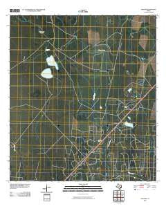 Vidaurri Texas Historical topographic map, 1:24000 scale, 7.5 X 7.5 Minute, Year 2010