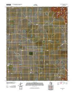 Vigo Park Texas Historical topographic map, 1:24000 scale, 7.5 X 7.5 Minute, Year 2010