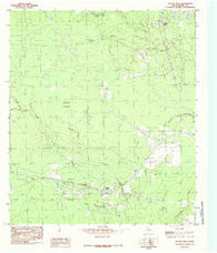 Village Mills Texas Historical topographic map, 1:24000 scale, 7.5 X 7.5 Minute, Year 1984