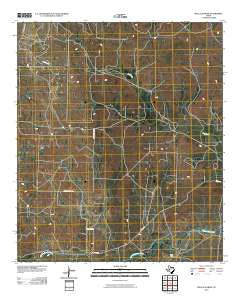 Wallace Draw Texas Historical topographic map, 1:24000 scale, 7.5 X 7.5 Minute, Year 2010