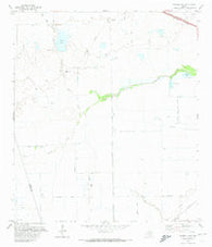 Warren Lake Texas Historical topographic map, 1:24000 scale, 7.5 X 7.5 Minute, Year 1971