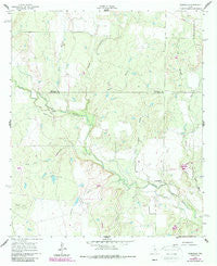 Webbville Texas Historical topographic map, 1:24000 scale, 7.5 X 7.5 Minute, Year 1960