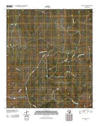 Well Hollow Texas Historical topographic map, 1:24000 scale, 7.5 X 7.5 Minute, Year 2010