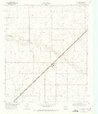 Wellman Texas Historical topographic map, 1:24000 scale, 7.5 X 7.5 Minute, Year 1969