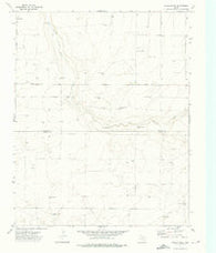 Wells Ranch Texas Historical topographic map, 1:24000 scale, 7.5 X 7.5 Minute, Year 1973