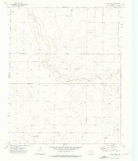 Wells Ranch Texas Historical topographic map, 1:24000 scale, 7.5 X 7.5 Minute, Year 1973