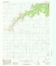 Wesley Point Texas Historical topographic map, 1:24000 scale, 7.5 X 7.5 Minute, Year 1984