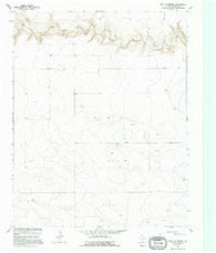 West of Brickel Texas Historical topographic map, 1:24000 scale, 7.5 X 7.5 Minute, Year 1964