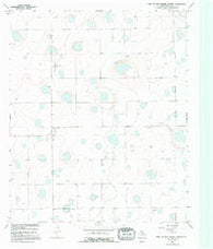 West of Dick Moore Canyon Texas Historical topographic map, 1:24000 scale, 7.5 X 7.5 Minute, Year 1966