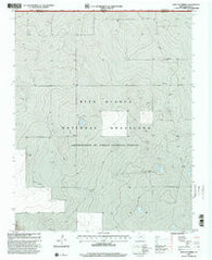 West of Kerrick Texas Historical topographic map, 1:24000 scale, 7.5 X 7.5 Minute, Year 1998