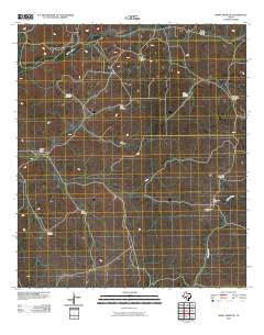 White Draw NE Texas Historical topographic map, 1:24000 scale, 7.5 X 7.5 Minute, Year 2010