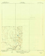 Whitsett Texas Historical topographic map, 1:62500 scale, 15 X 15 Minute, Year 1930