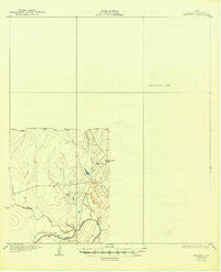 Whitsett Texas Historical topographic map, 1:62500 scale, 15 X 15 Minute, Year 1930
