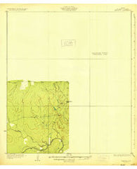Whitsett Texas Historical topographic map, 1:62500 scale, 15 X 15 Minute, Year 1930