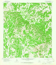 Whitworth Ranch Texas Historical topographic map, 1:24000 scale, 7.5 X 7.5 Minute, Year 1963