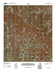 Whitworth Ranch Texas Historical topographic map, 1:24000 scale, 7.5 X 7.5 Minute, Year 2010