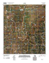 Whon Texas Historical topographic map, 1:24000 scale, 7.5 X 7.5 Minute, Year 2010