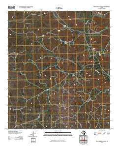 Wild Horse Canyon Texas Historical topographic map, 1:24000 scale, 7.5 X 7.5 Minute, Year 2010
