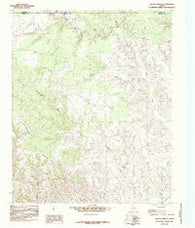 Willow Arroyo Texas Historical topographic map, 1:24000 scale, 7.5 X 7.5 Minute, Year 1985