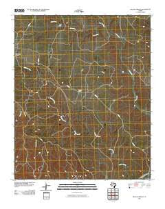 Willow Arroyo Texas Historical topographic map, 1:24000 scale, 7.5 X 7.5 Minute, Year 2010