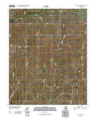 Willow Creek Texas Historical topographic map, 1:24000 scale, 7.5 X 7.5 Minute, Year 2010