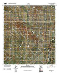 Wilson Ranch Texas Historical topographic map, 1:24000 scale, 7.5 X 7.5 Minute, Year 2010