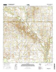 Wilson Ranch Texas Current topographic map, 1:24000 scale, 7.5 X 7.5 Minute, Year 2016