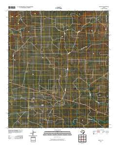Witco Texas Historical topographic map, 1:24000 scale, 7.5 X 7.5 Minute, Year 2010