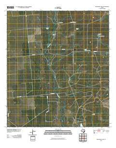 Woodard Lake Texas Historical topographic map, 1:24000 scale, 7.5 X 7.5 Minute, Year 2010