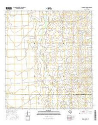 Woodard Lake Texas Current topographic map, 1:24000 scale, 7.5 X 7.5 Minute, Year 2016