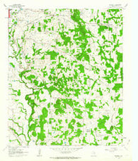 Woodbine Texas Historical topographic map, 1:24000 scale, 7.5 X 7.5 Minute, Year 1960