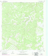 Y O Ranch Texas Historical topographic map, 1:24000 scale, 7.5 X 7.5 Minute, Year 1963
