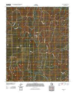 Y Ranch Texas Historical topographic map, 1:24000 scale, 7.5 X 7.5 Minute, Year 2010