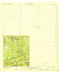 Zavalla Texas Historical topographic map, 1:62500 scale, 15 X 15 Minute, Year 1931