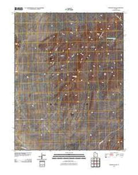 Badger Peak Utah Historical topographic map, 1:24000 scale, 7.5 X 7.5 Minute, Year 2010
