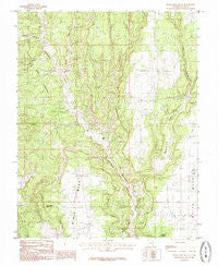 Black Mesa Butte Utah Historical topographic map, 1:24000 scale, 7.5 X 7.5 Minute, Year 1985