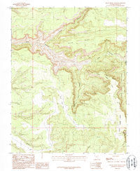 Black Steer Canyon Utah Historical topographic map, 1:24000 scale, 7.5 X 7.5 Minute, Year 1987