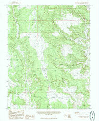 Bradford Canyon Utah Historical topographic map, 1:24000 scale, 7.5 X 7.5 Minute, Year 1985