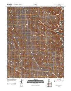 Bradford Canyon Utah Historical topographic map, 1:24000 scale, 7.5 X 7.5 Minute, Year 2010