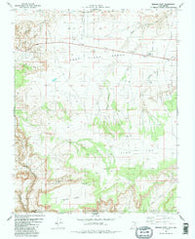 Bridger Point Utah Historical topographic map, 1:24000 scale, 7.5 X 7.5 Minute, Year 1981