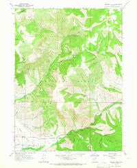 Browns Hole Utah Historical topographic map, 1:24000 scale, 7.5 X 7.5 Minute, Year 1964