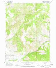 Browns Hole Utah Historical topographic map, 1:24000 scale, 7.5 X 7.5 Minute, Year 1964