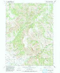 Browns Hole Utah Historical topographic map, 1:24000 scale, 7.5 X 7.5 Minute, Year 1991