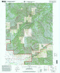 Browns Hole Utah Historical topographic map, 1:24000 scale, 7.5 X 7.5 Minute, Year 1998