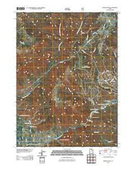 Browns Hole Utah Historical topographic map, 1:24000 scale, 7.5 X 7.5 Minute, Year 2011