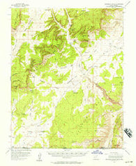 Buckskin Gulch Utah Historical topographic map, 1:62500 scale, 15 X 15 Minute, Year 1954