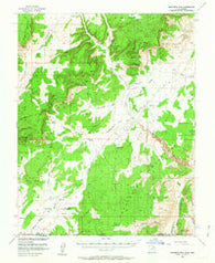 Buckskin Mtn Utah Historical topographic map, 1:62500 scale, 15 X 15 Minute, Year 1954