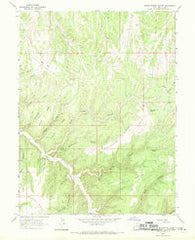 Burnt Timber Canyon Utah Historical topographic map, 1:24000 scale, 7.5 X 7.5 Minute, Year 1966